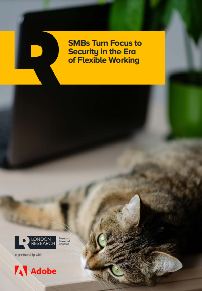 SMBs Turn Focus to Security in the Era of Flexible Working