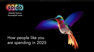 Webinar: How people like you are spending in 2025
