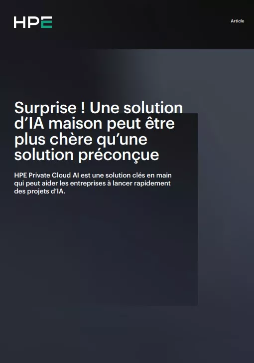 Surprise ! Une solution d’IA maison est plus chère qu’une solution préconçue.
