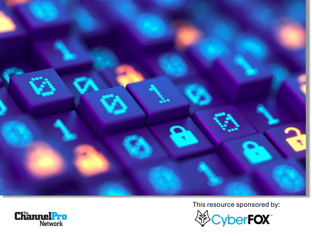 The Ultimate Guide to Cybersecurity for MSPs