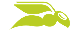 Hornet Security 